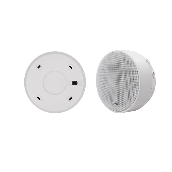 ხმამაღლამოლაპარაკე DSP5311 6.5Inch Surface Mount Ceiling Speaker